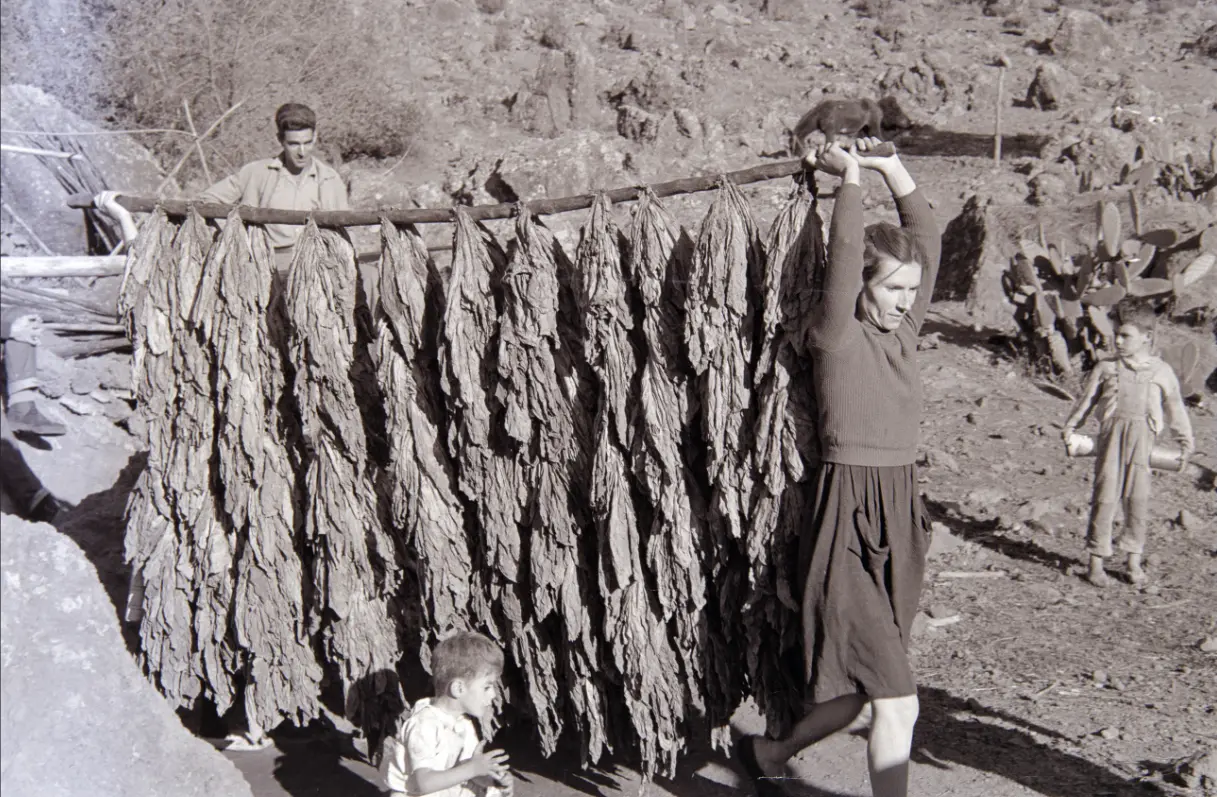Excursión a La Caldera.